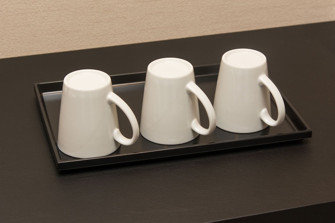 Imagen de la habitación del Hotel Hatago Inn Kansai Airport. Foto 14