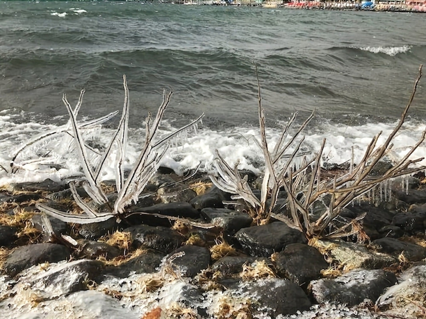 Imagen de los exteriores del Hotel Hatago Nagomi. Foto 16