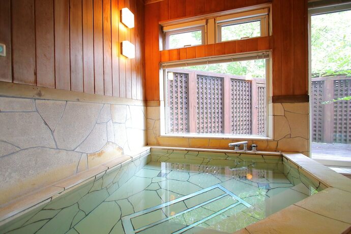 Imagen general del Hotel Hatago Sakuraya. Foto 5