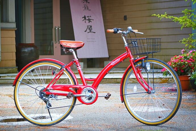Imagen general del Hotel Hatago Sakuraya. Foto 12