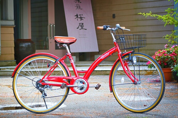Imagen general del Hotel Hatago Sakuraya. Foto 1