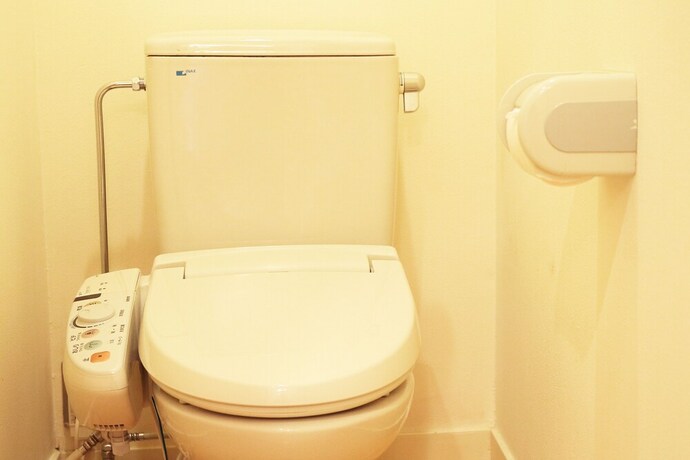 Imagen de la habitación del Hotel Hatago Sakuraya. Foto 17