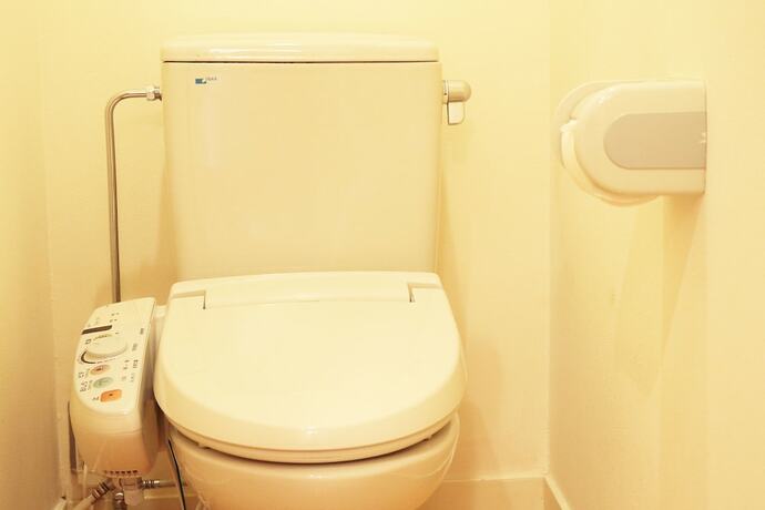 Imagen de la habitación del Hotel Hatago Sakuraya. Foto 18