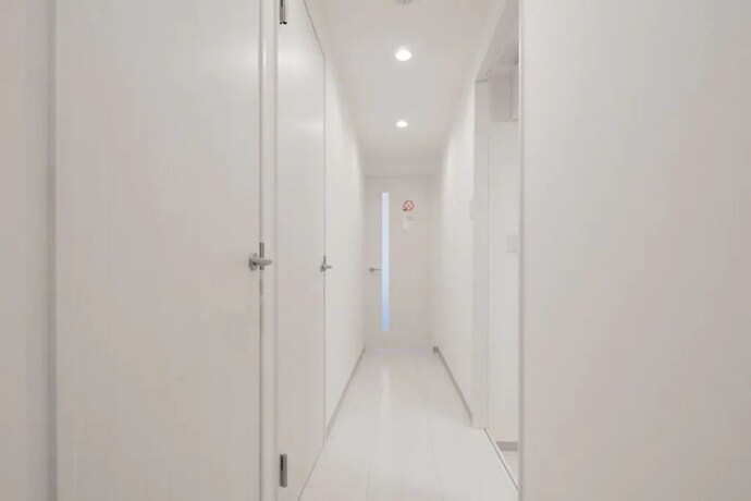 Imagen de la habitación del Hotel Hatch Nagahori 802. Foto 21