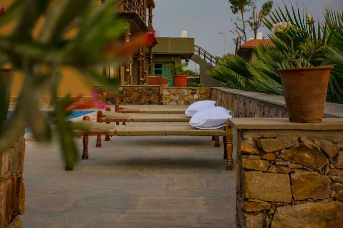 Imagen general del Hotel Hathi Mauja. Foto 5