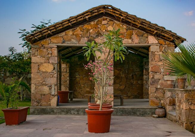 Imagen general del Hotel Hathi Mauja. Foto 16