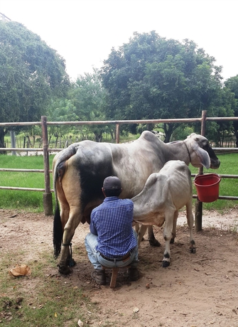 Imagen general del Hotel Hato Viejo Boutique. Foto 2