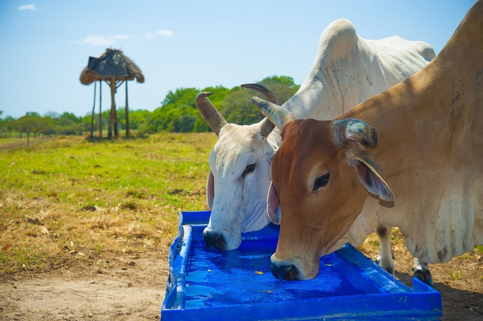 Imagen de los exteriores del Hotel Hato Viejo Boutique. Foto 10