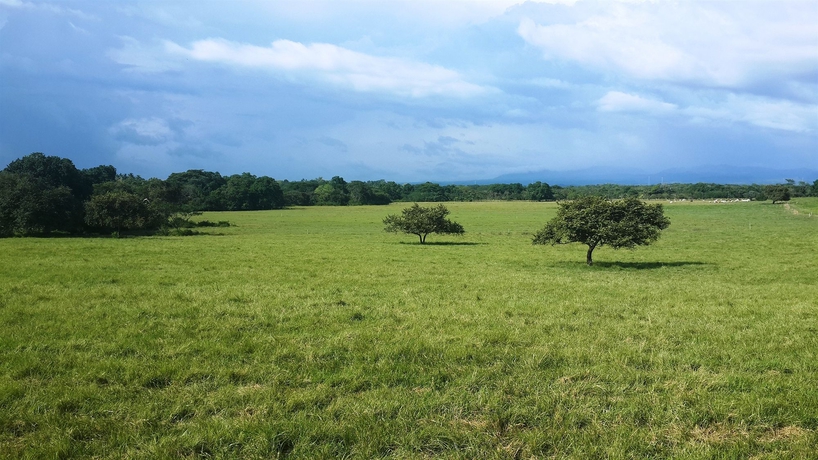 Imagen de los exteriores del Hotel Hato Viejo Boutique. Foto 11