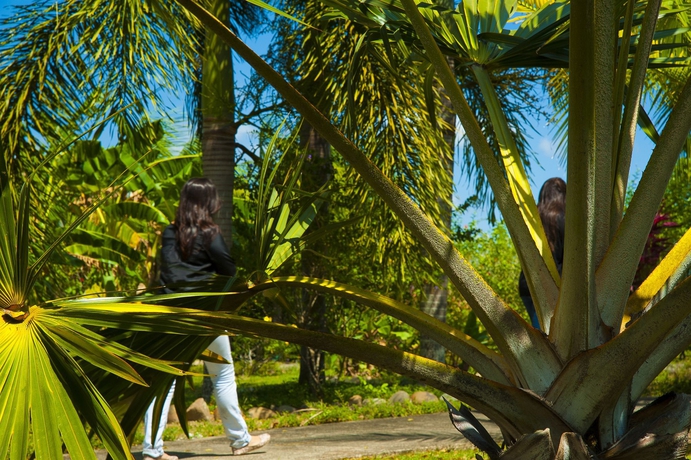 Imagen de los exteriores del Hotel Hato Viejo Boutique. Foto 12