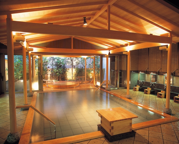 Imagen de la piscina del Hotel Hatori. Foto 15