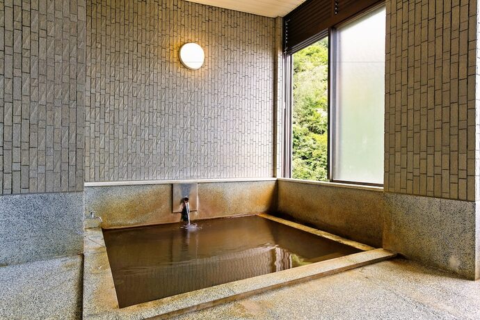 Imagen general del Hotel Hatsune. Foto 4