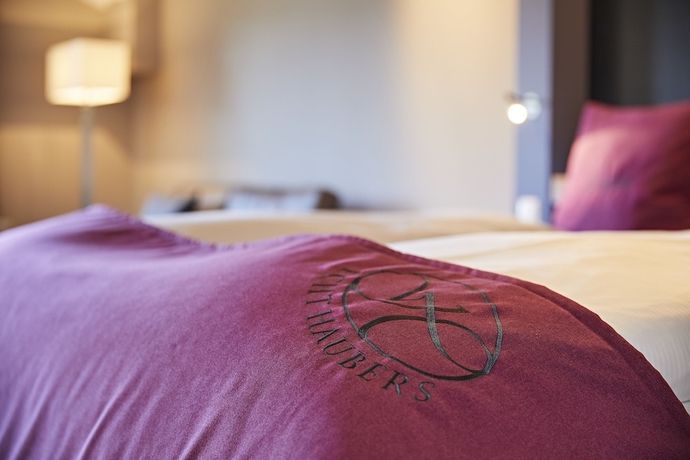 Imagen de la habitación del Hotel Haubers Naturresort. Foto 14