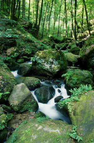 Imagen general del Hotel Hauer. Foto 1