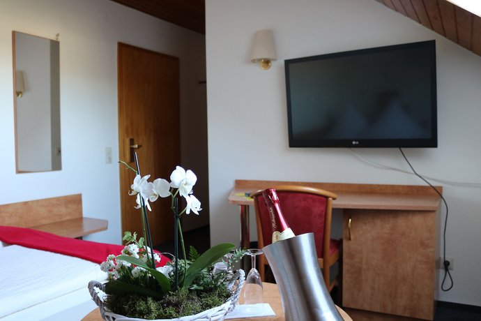 Imagen de la habitación del Hotel H&auml;fner, Bad Sch&ouml;nborn. Foto 6