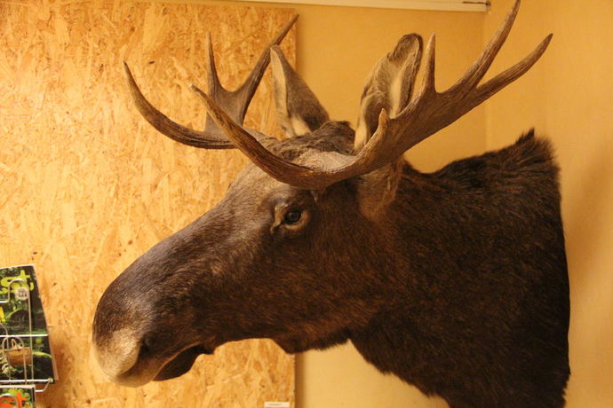 Imagen de la habitación del Hotel H&auml;llefors Vandrarhem and Kanotcenter. Foto 8