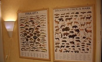 Imagen de los interiores del Hotel H&auml;llefors Vandrarhem and Kanotcenter. Foto 15