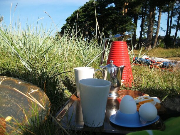 Imagen general del Hotel H&auml;lleviks Camping. Foto 4