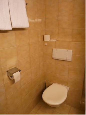 Imagen de la habitación del Hotel Haus Alpensee. Foto 16