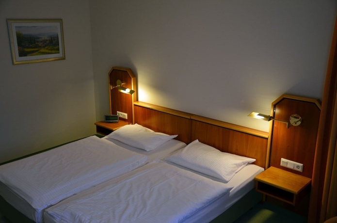 Imagen de la habitación del Hotel Haus Am Park, Bad Homburg vor der H&ouml;he. Foto 9