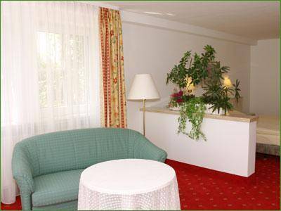 Imagen de la habitación del Hotel Haus Am Park. Foto 3