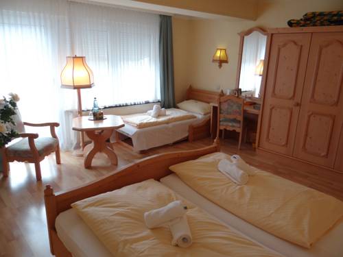 Imagen de la habitación del Hotel Haus Am Walde. Foto 9