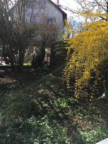 Imagen de los exteriores del Hotel Haus Baron 2. Foto 18