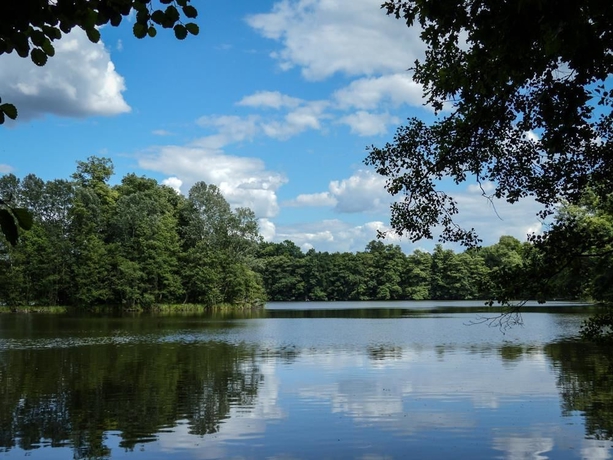 Imagen de los exteriores del Hotel Haus Chorin. Foto 8