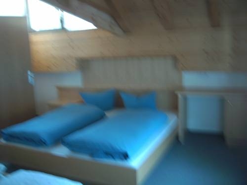 Imagen general del Hotel Haus Dorfschmied. Foto 7