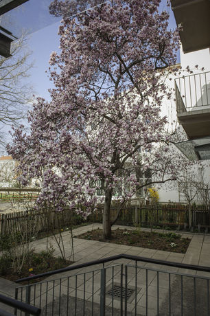 Imagen general del Hotel Haus Mobene - Garni. Foto 1