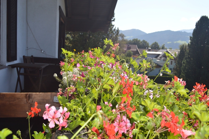 Imagen de los exteriores del Hotel Haus Susanne. Foto 12