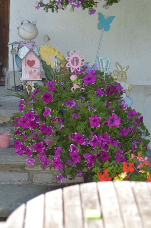 Imagen de los exteriores del Hotel Haus Susanne. Foto 13