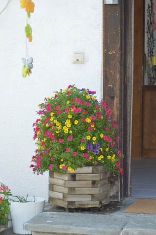 Imagen de los exteriores del Hotel Haus Susanne. Foto 16