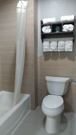 Imagen de la habitación del Hotel Haven Inn and Suites Downtown Houston. Foto 12