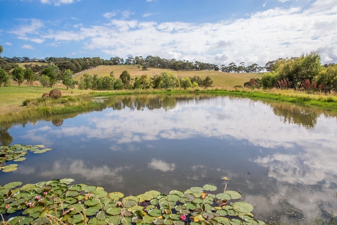 Imagen general del Hotel Haven Red Hill. Foto 2