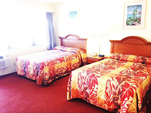 Imagen de la habitación del Hotel Hawaii Motel. Foto 5