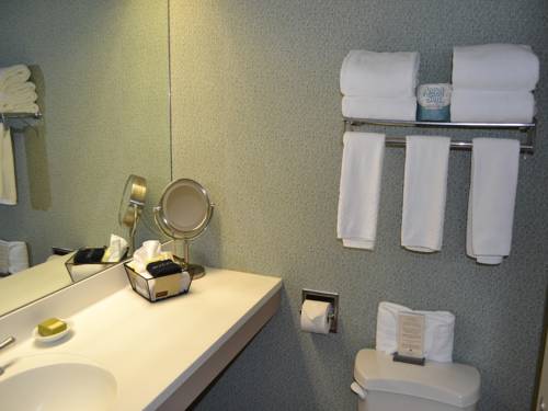 Imagen de la habitación del Hotel Haworth At Hope College. Foto 14