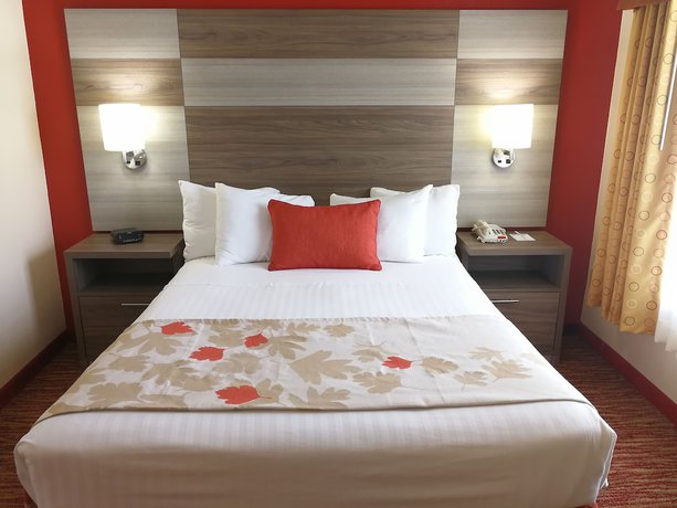 Imagen de la habitación del Hotel Hawthorn Suites By Wyndham Irving DFW South. Foto 4