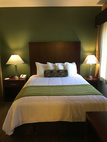 Imagen de la habitación del Hotel Hawthorn Suites By Wyndham Rancho Cordova/folsom. Foto 11