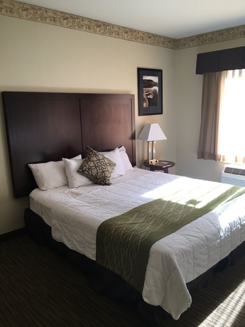 Imagen de la habitación del Hotel Hawthorn Suites By Wyndham Rancho Cordova/folsom. Foto 12
