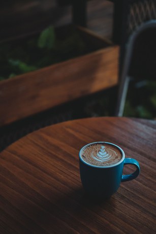 Imagen del bar/restaurante del Hotel Haya, Tampa . Foto 8