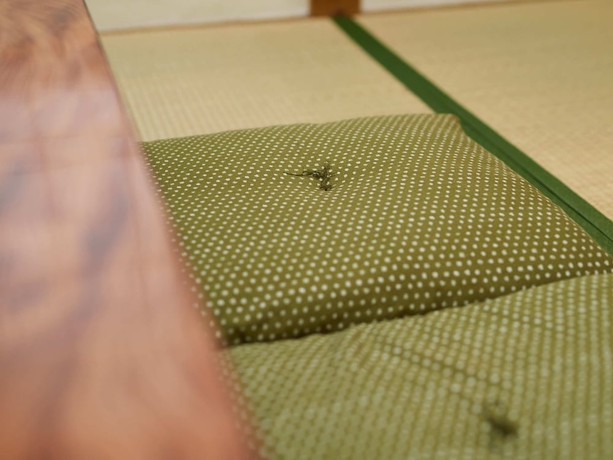 Imagen de la habitación del Hotel Hayamasou. Foto 2