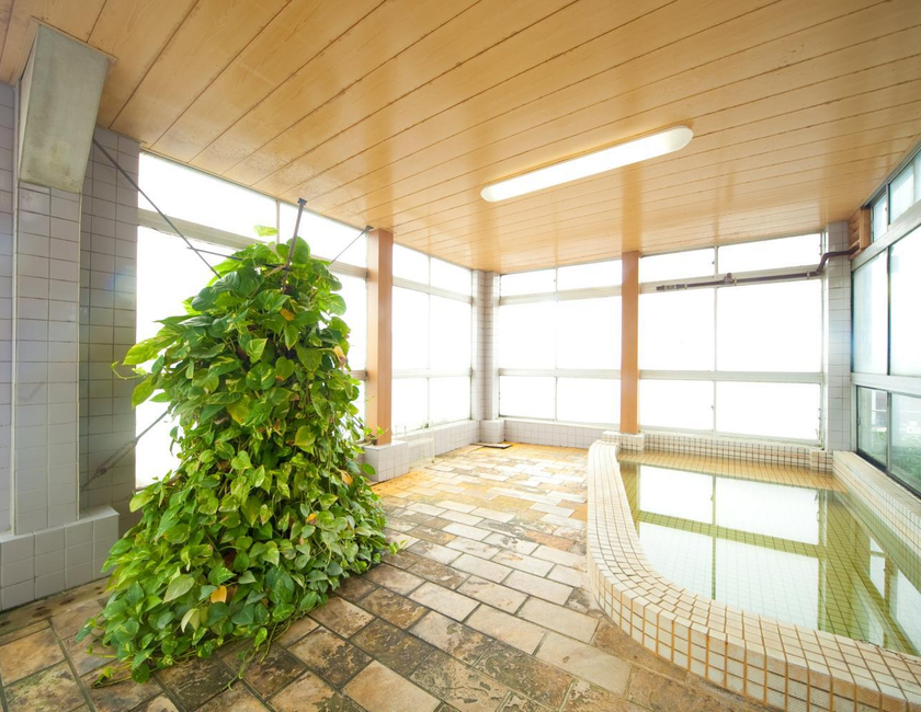 Imagen general del Hotel Hayashi. Foto 2