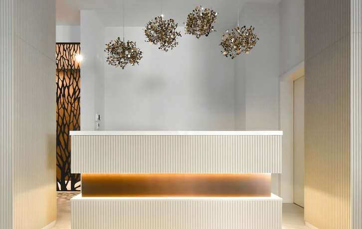Imagen de los interiores del Hotel Hayashi Residence. Foto 16