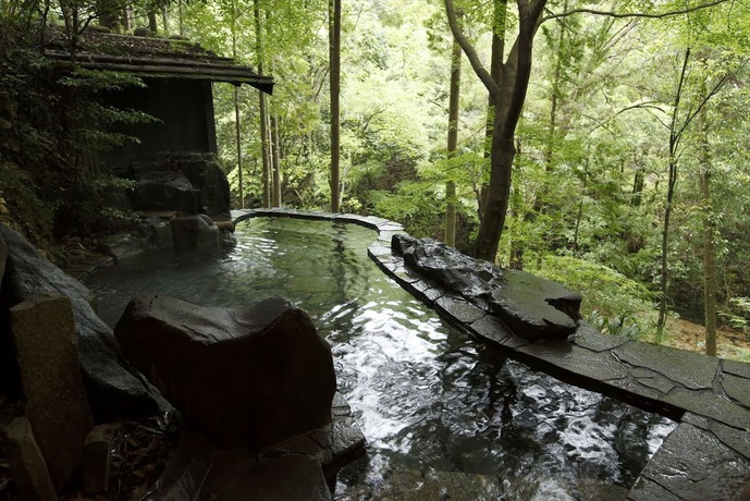 Imagen de la piscina del Hotel Hazu Gassyo. Foto 16