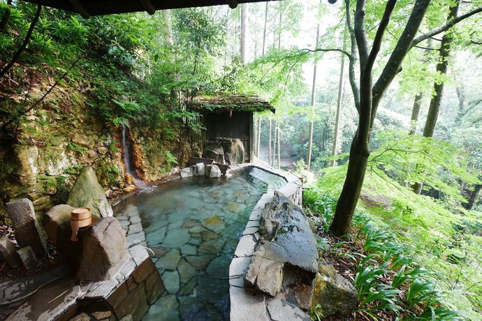 Imagen de la piscina del Hotel Hazu Gassyo. Foto 17