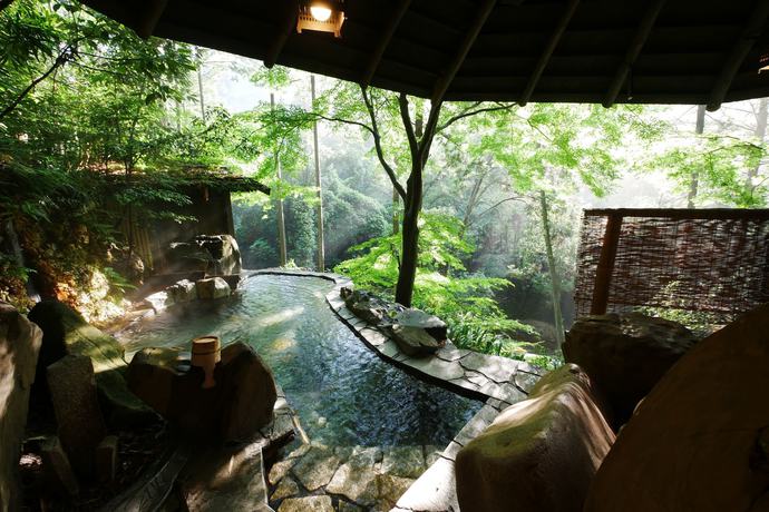 Imagen de la piscina del Hotel Hazu Gassyo. Foto 18