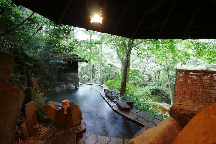 Imagen de la piscina del Hotel Hazu Gassyo. Foto 19