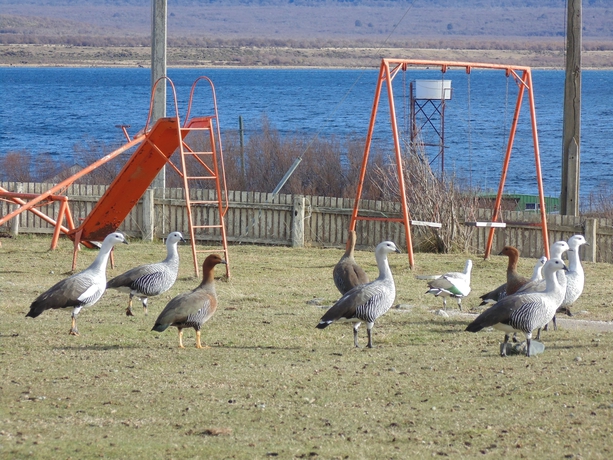 Imagen general del Hotel Hd Natales. Foto 4