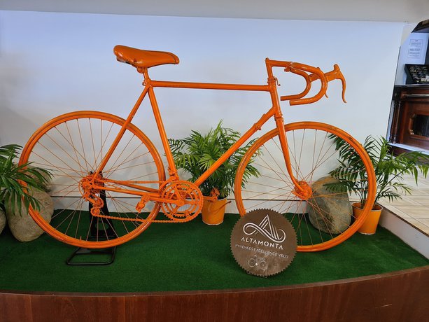 Imagen de los interiores del Hotel Hélianthe. Foto 18